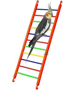 26" Medium Bird Ladder