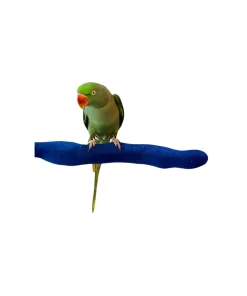 Polly's Portable Stand -Small