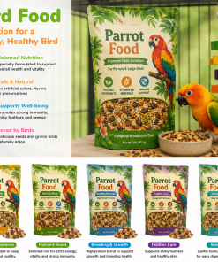 Bird Food