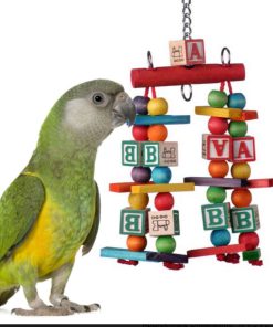Katy's ABCs Jr. - SB448