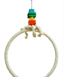 Cerceau Hoop 20"