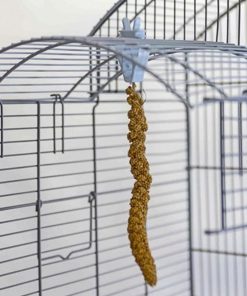 Millet Clips