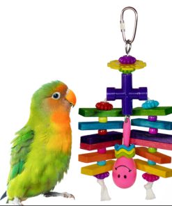 Rainbow Rattler - SB1173