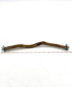 Polly Perches 14 Inch