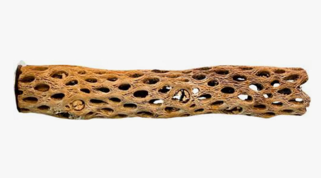 Polly's Cholla Cactus Perch Medium