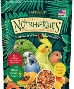 Lafeber's Tropical Fruit Nutriberries Parakeet Cockatiel  Lovebird Conure