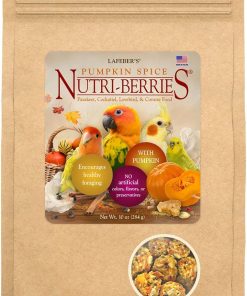 Lafeber's Pumpkin Spice Nutri-Berries