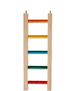 Echelle 4.5"x1FT
