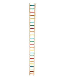 50" Medium Bird Ladders