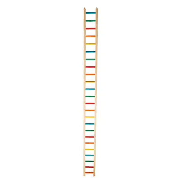 50" Medium Bird Ladders