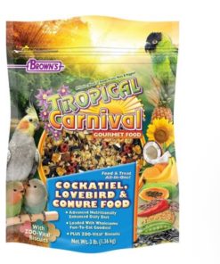 Tropical Carnival Cockatiel Lovebird