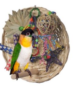 Busy Birdie Play Perch