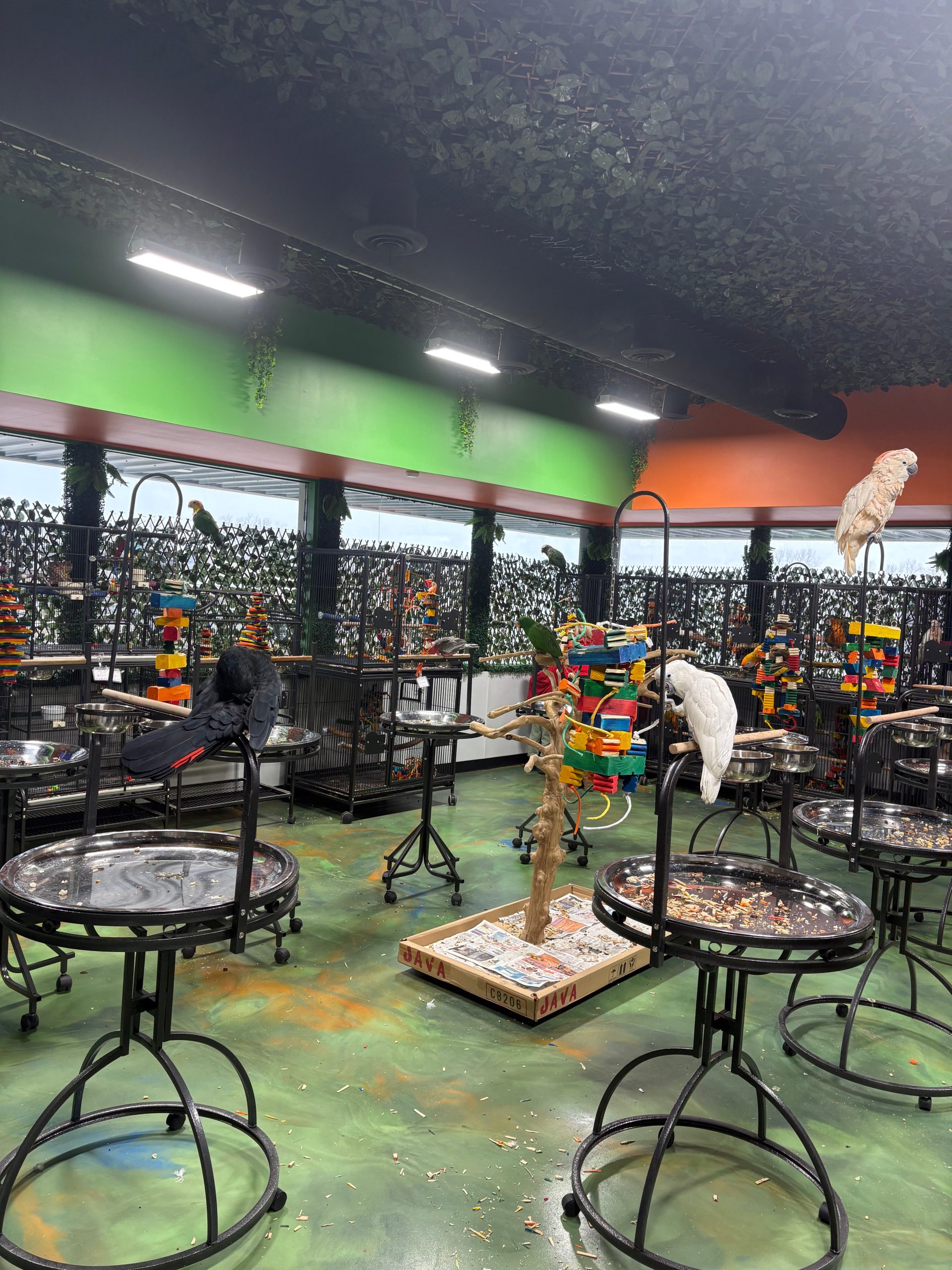 Aviary Marketplace Store