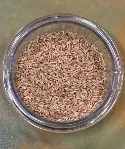 Oat Groats - per lb