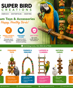 Super Bird Creations